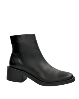 Botin