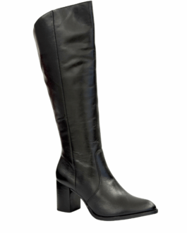 Bota
