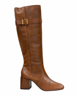 Bota